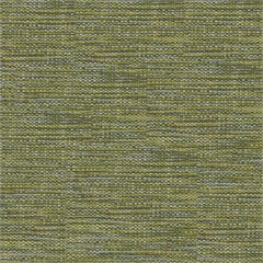Notion Crypton Upholstery Fabric